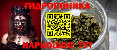 шишки Ангарск