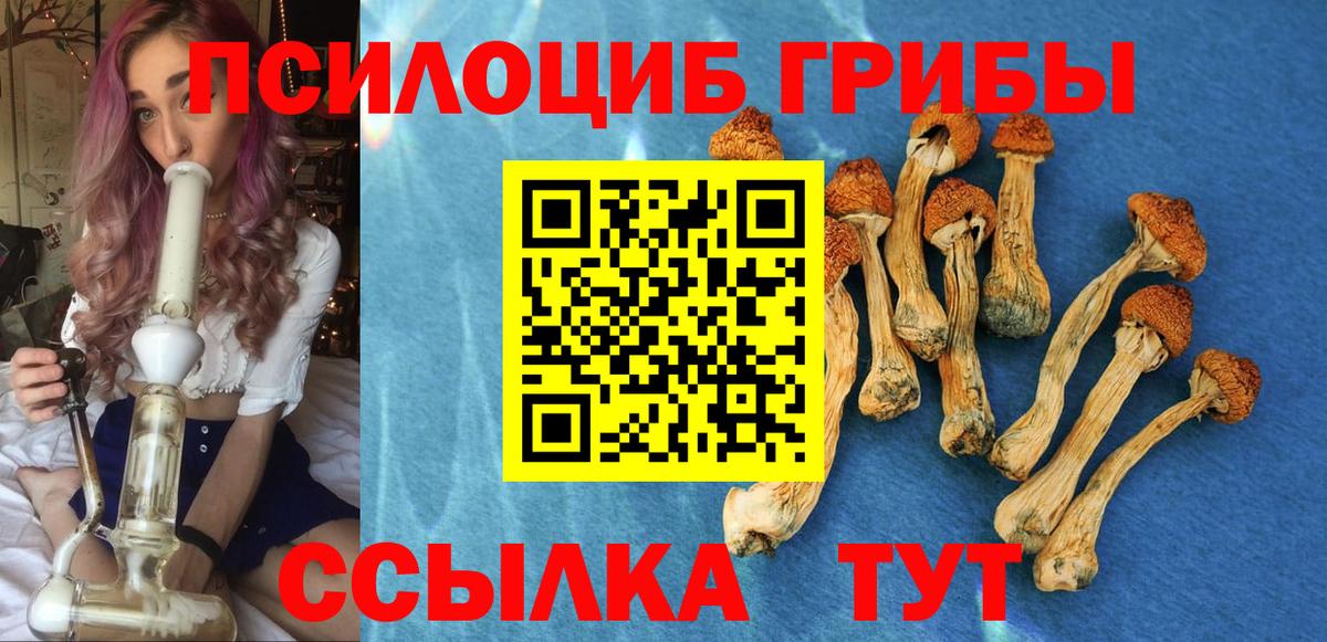 Псилоцибиновые грибы прущие грибы  купить  сайты  Бор  Вход с VPN 