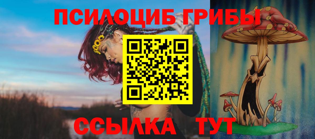 Галлюциногенные грибы Cubensis Бор